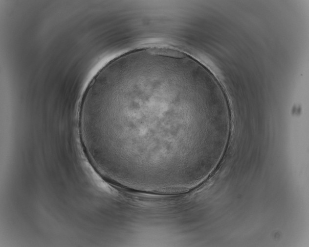 X0000091351392200708171422