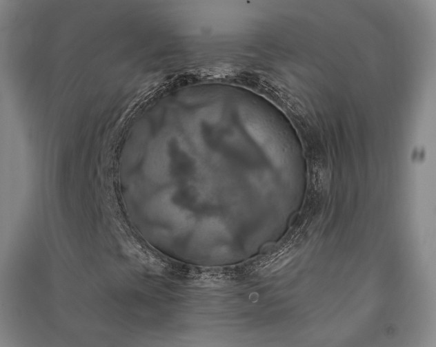 X0000091351393200708171421