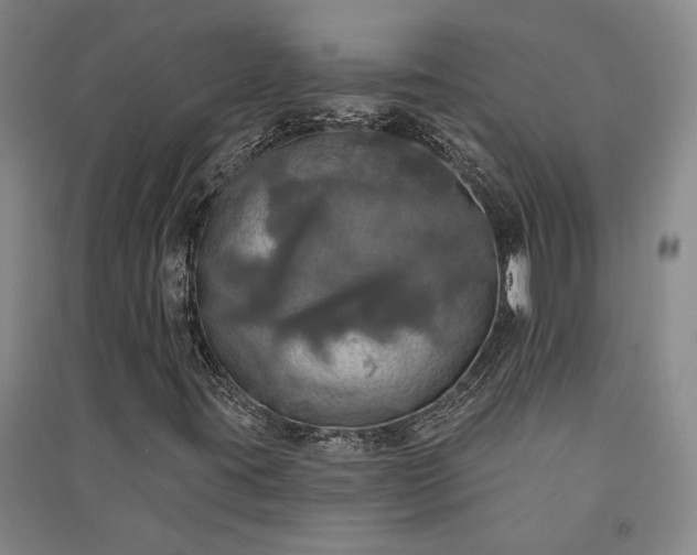 X0000091351395200708171421