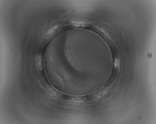 X0000091351396200708171421