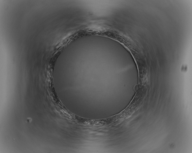 X0000091351397200708171421