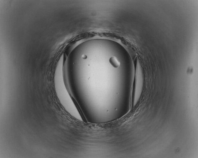 X0000091351398200708171421