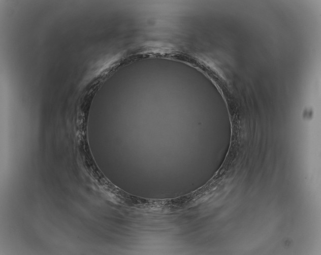 X0000091351399200708171421
