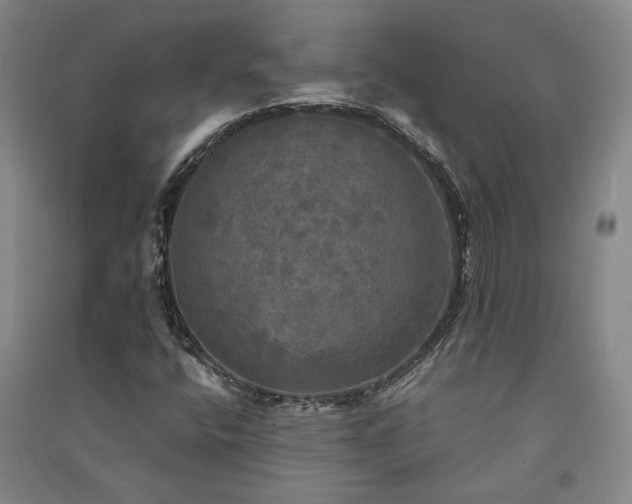 X0000091351400200708171421