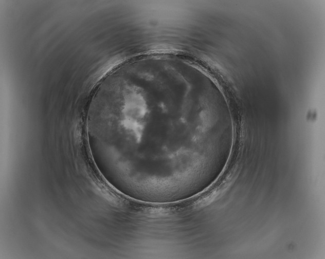 X0000091351401200708171421