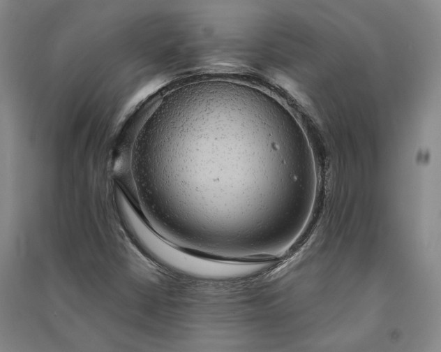 X0000091351402200708171421