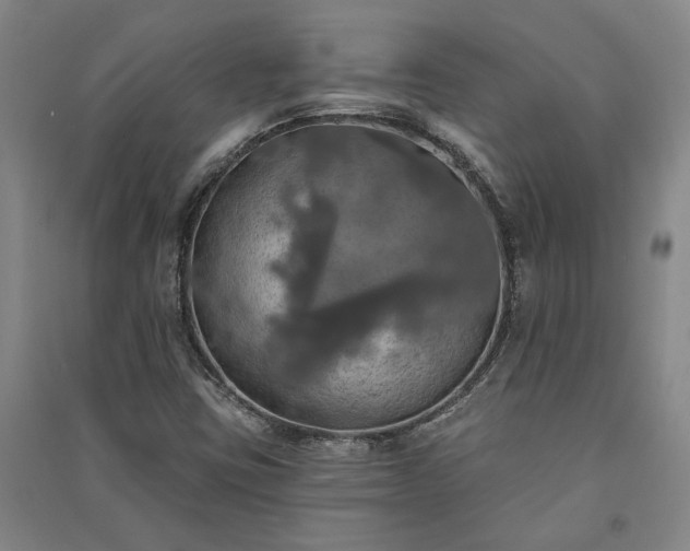 X0000091351403200708171421