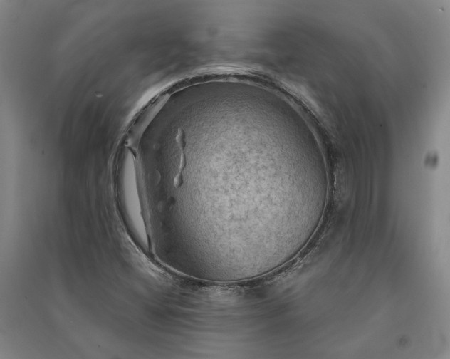 X0000091351404200708171421