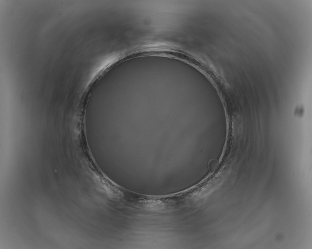 X0000091351405200708171421