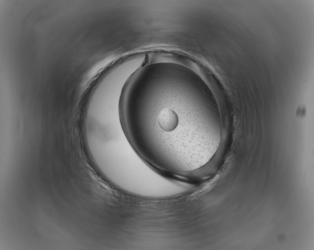 X0000091351406200708171421