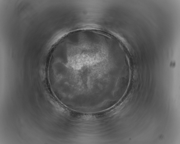 X0000091351407200708171421