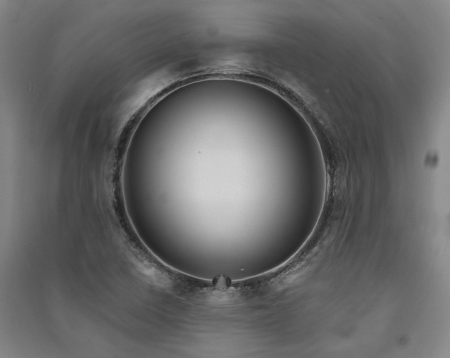 X0000091351410200708171421
