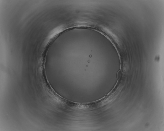 X0000091351411200708171421