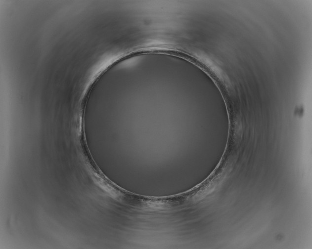 X0000091351413200708171421