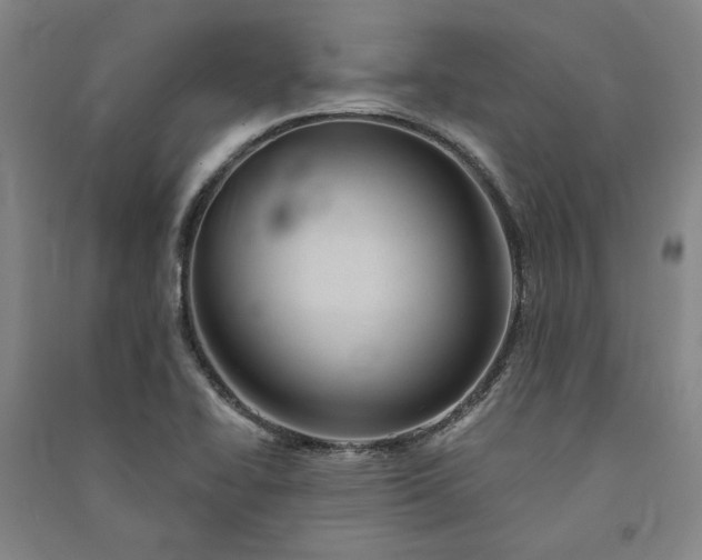 X0000091351414200708171421