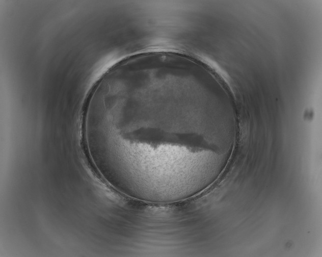 X0000091351415200708171421