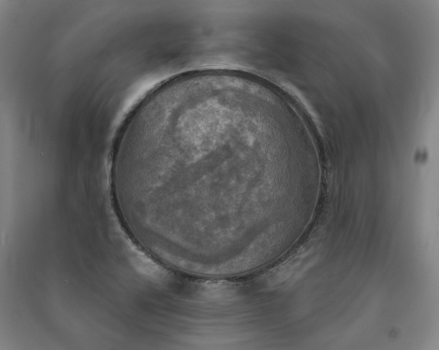X0000091351416200708171421