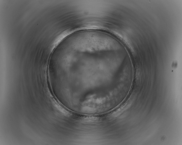 X0000091351417200708171422