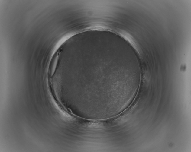 X0000091351418200708171422
