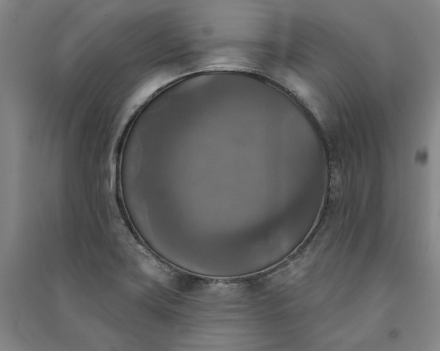 X0000091351419200708171422