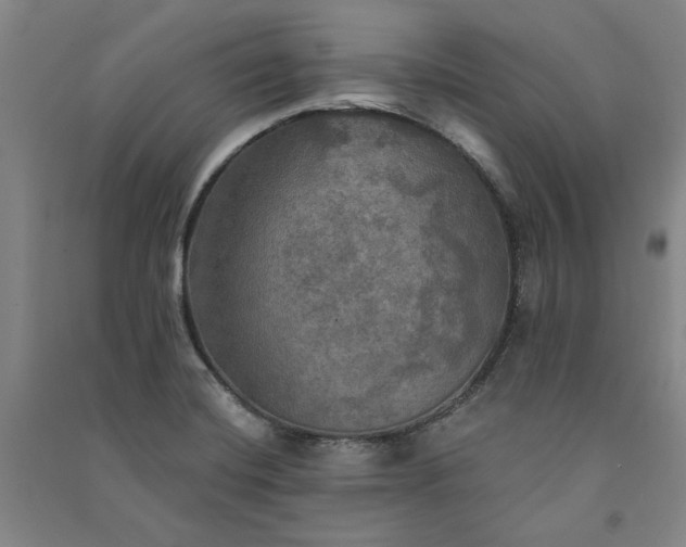 X0000091351420200708171422