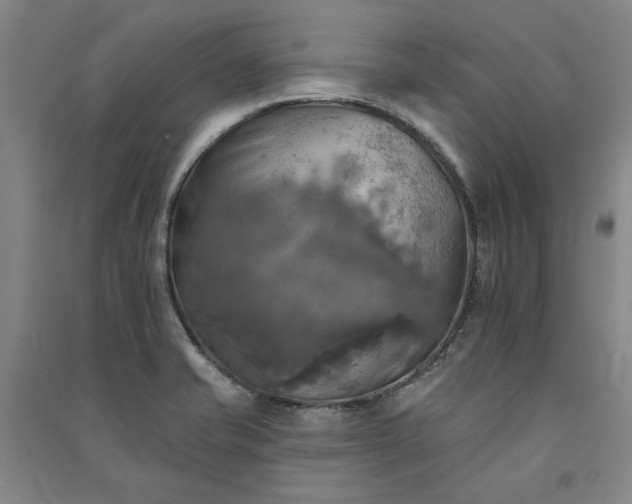 X0000091351421200708171422