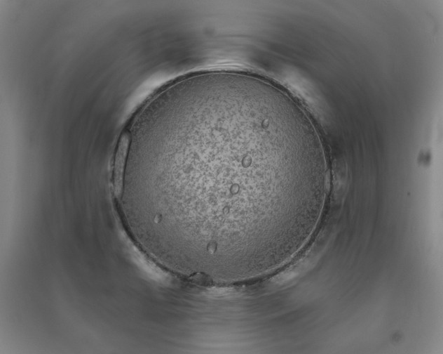 X0000091351422200708171422