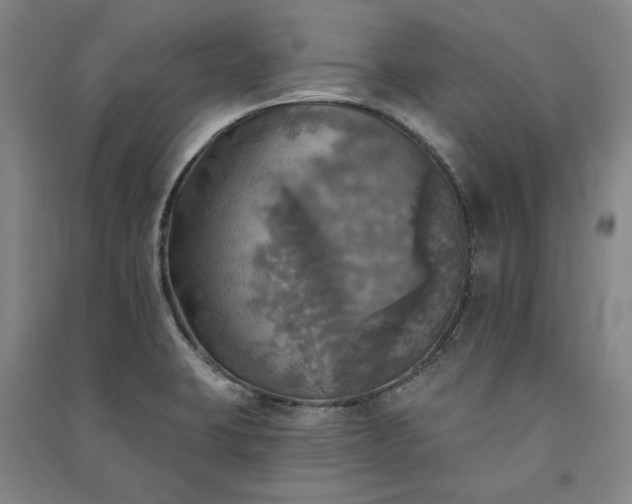 X0000091351423200708171422