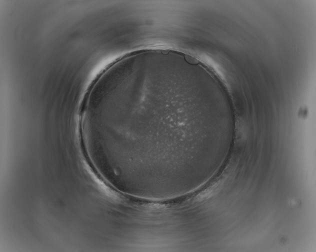 X0000091351424200708171422
