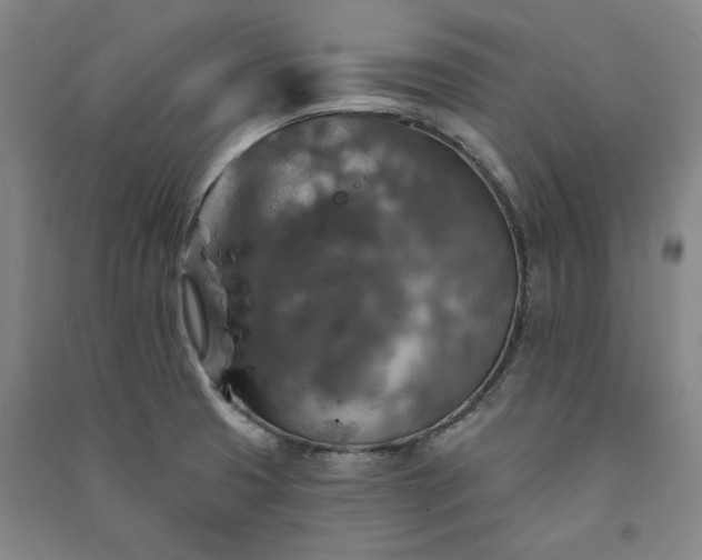 X0000091351425200708171422