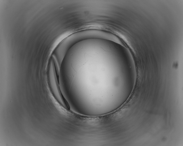X0000091351426200708171422