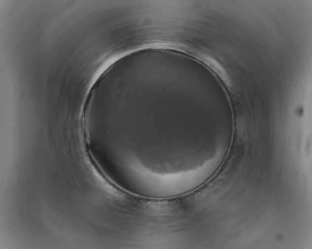 X0000091351428200708171422