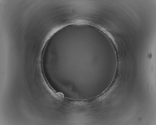 X0000091351429200708171422