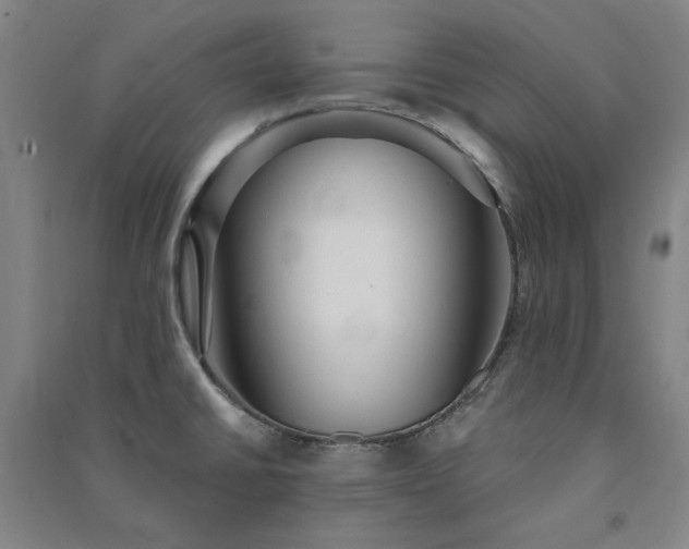 X0000091351430200708171422