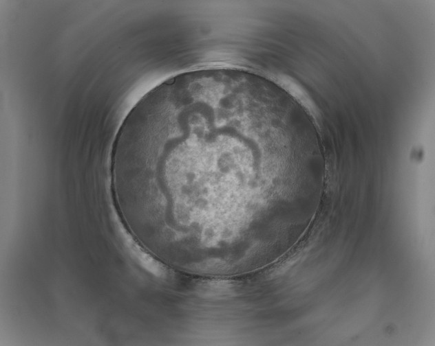 X0000091351431200708171422