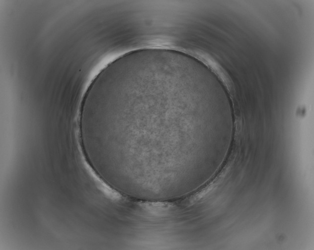 X0000091351432200708171422