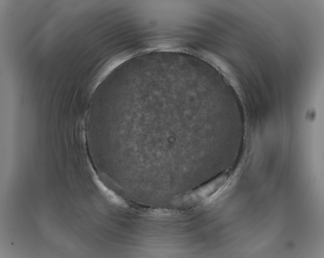 X0000091351433200708171422
