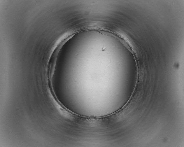 X0000091351434200708171422