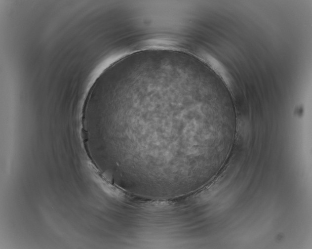 X0000091351435200708171422