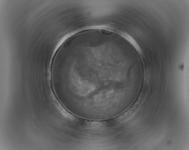 X0000091351436200708171422