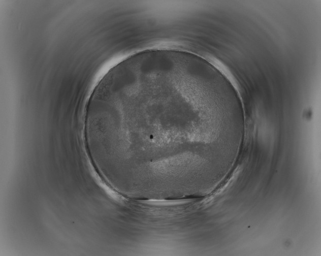 X0000091351437200708171422