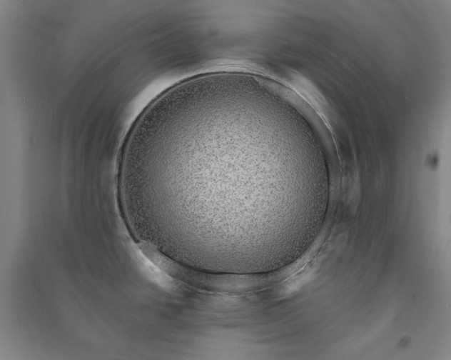 X0000091351438200708171422