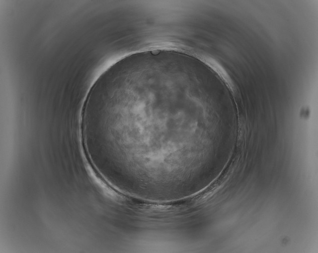 X0000091351439200708171422