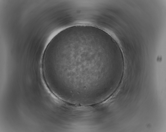 X0000091351440200708171422
