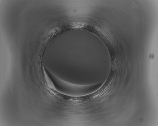 X0000091351441200708171421