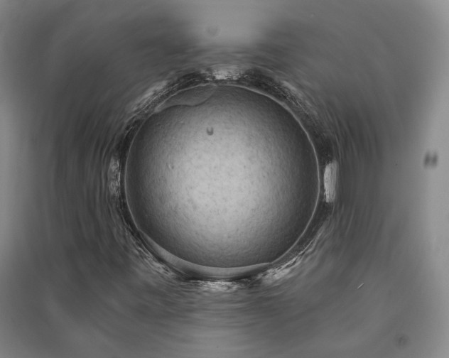 X0000091351443200708171421