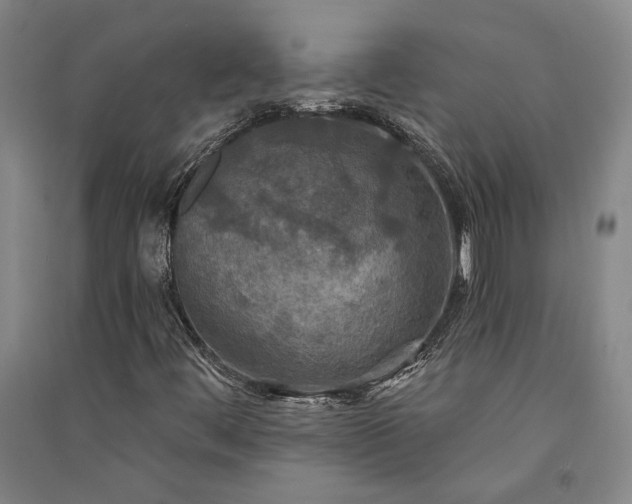X0000091351444200708171421