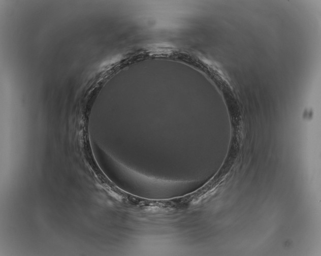 X0000091351445200708171421