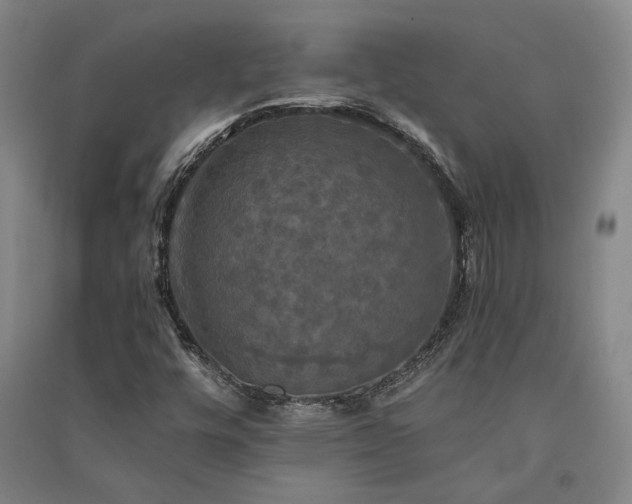 X0000091351448200708171421