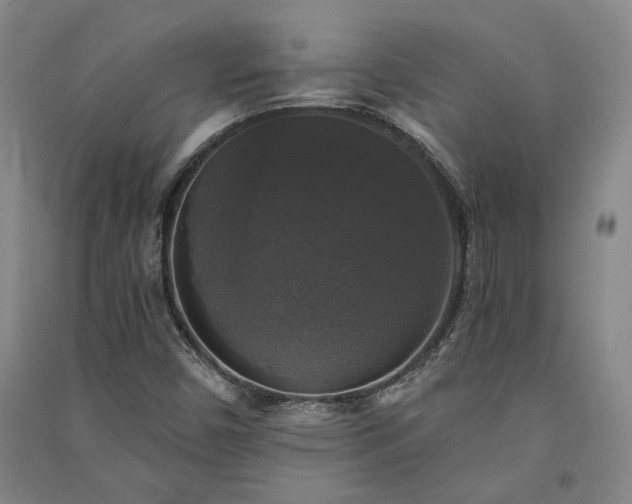 X0000091351450200708171421